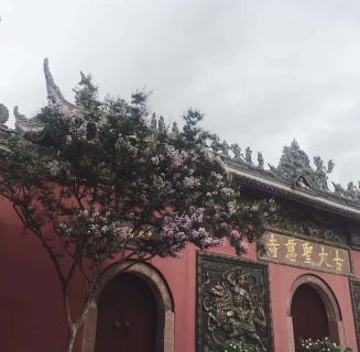 天火2娱乐：助力公益活动建设，实现经济效益与社会效益的双赢！